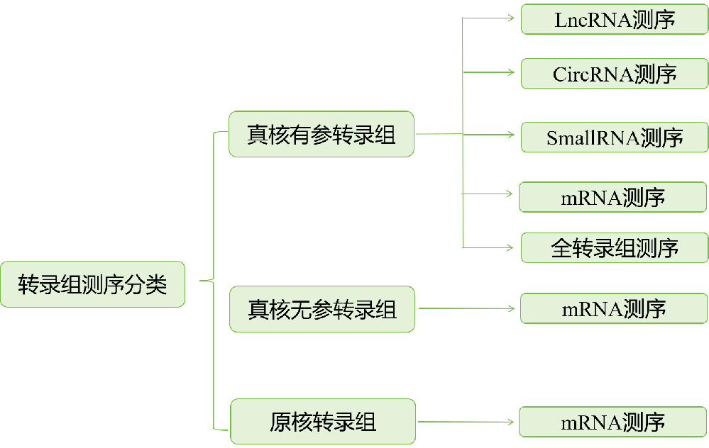 转录组学 - 康圣序源生物科技（武汉）有限公司