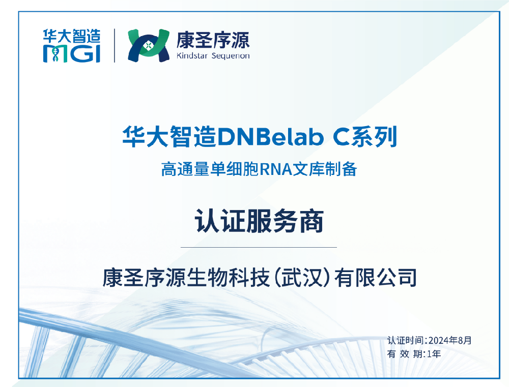 喜报丨康圣序源获华大智造DNBelab C系列服务商认证，全面赋能单细胞测序服务
